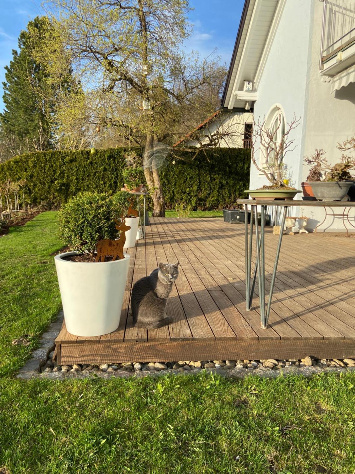 Das Blaue Haus - Ein Sommertraum Und Ein Wintermaerchen Weiler-Simmerberg Exterior photo