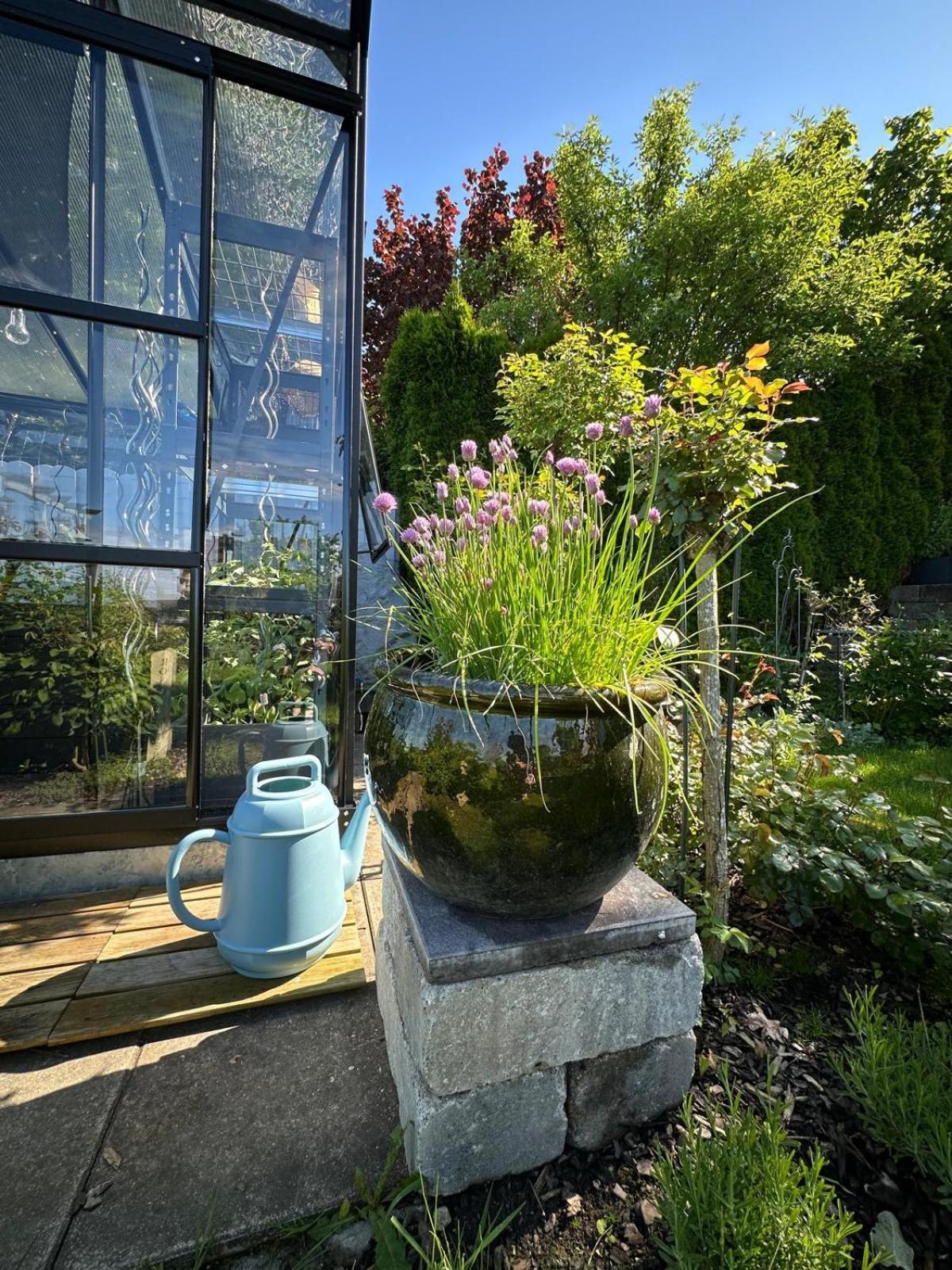 Das Blaue Haus - Ein Sommertraum Und Ein Wintermaerchen Weiler-Simmerberg Exterior photo